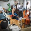 ÜLEVAADE | Silvia Ilvese uus algus vanalinnas: muusik kulutas rinnaopiks kogutud raha uuele mööblile