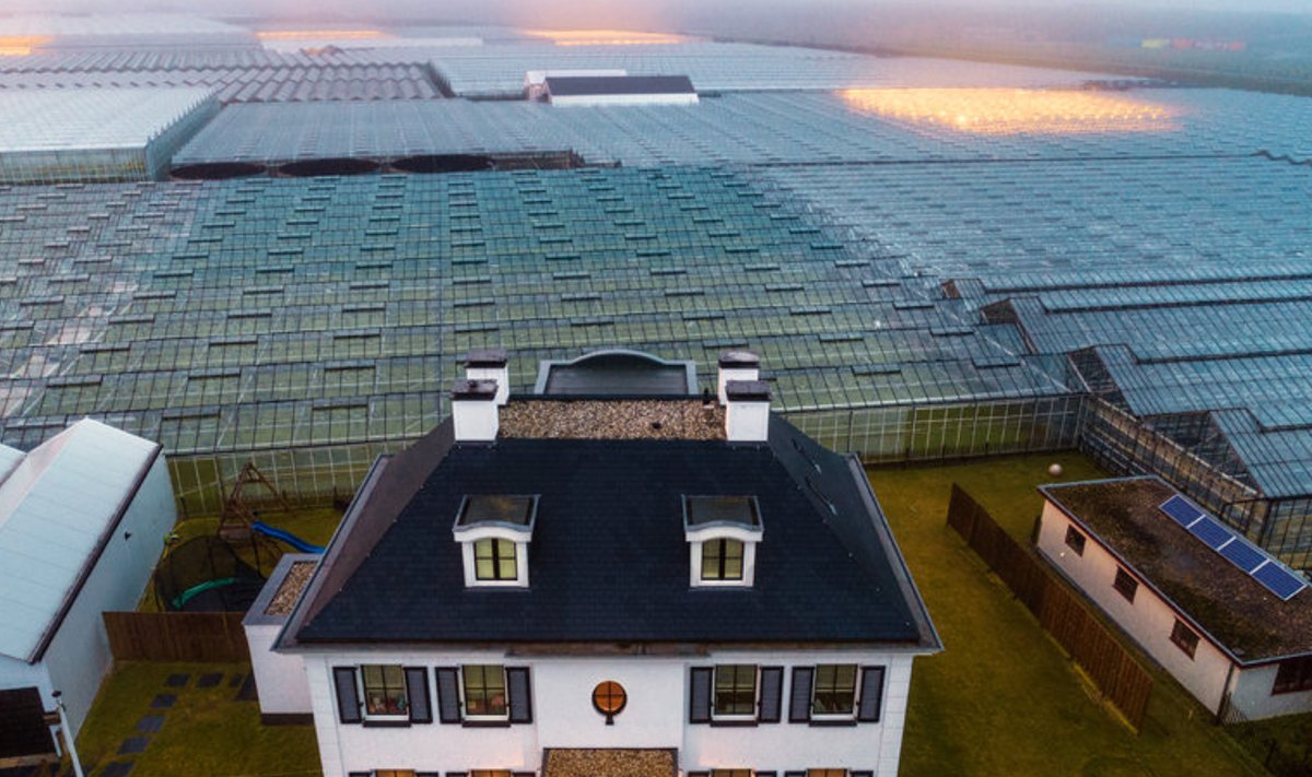 Море теплиц окружает фермерский домик в Вестленде на западе Нидерландов. Жители этой страны лидируют во внедрении инноваций в сельском хозяйстве, разрабатывая новые способы борьбы со всемирной нехваткой продовольствия.