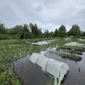 LUGEJA FOTO | Suuruputus Võrumaal sunnib põlvekõrgusest veest taimi päästma