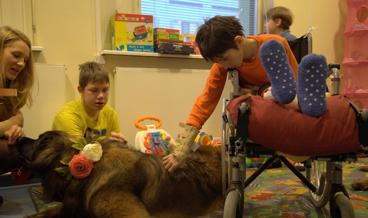 Teraapiakoerad külastasid lastehaigla neuroloogiaosakonda 12. detsembril.