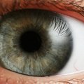 Viska pilk peale: nutiseade võib kasutajat tuvastada silmaskänneri abil