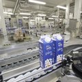 Штраф за превышение квоты по производству молока можно будет выплатить в течение трех лет