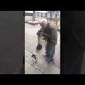VIDEO | Gruusias 3 aastat tagasi kaduma läinud koer puhkes lausa nutma, kui ta linnatänaval juhuslikult oma omanikku märkas