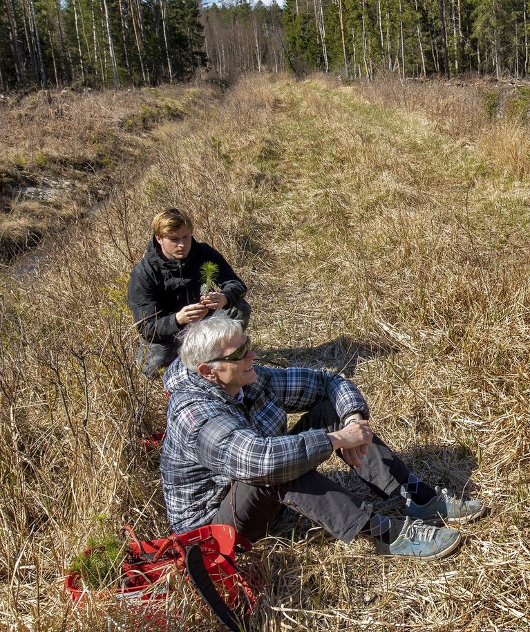 Julius, Indrek ja Andres Tarand peavad metsaplaani.