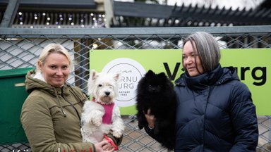 KÄPAD TÖÖL | Pärnu turu tööd koordineerivad must ja valge koer