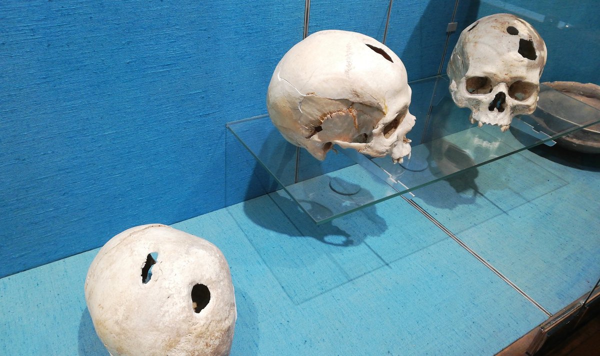 Trepaneeritud koljud Saint-Raphaël'i muuseumist