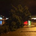FOTOD: Sikupilli keskuse parkla kuusk murdus tormituule käes