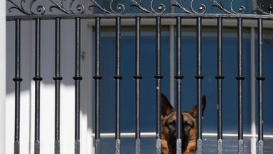 President Bideni koer pures järjekordset salateenistuse agenti