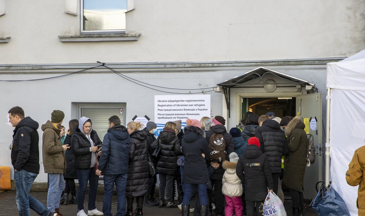 Ukraina sõjapõgenike registreerimine Tallinnas. Edasisel nõustamisel on toeks ka Pagulasabi töötajad ning vabatahtlikud.