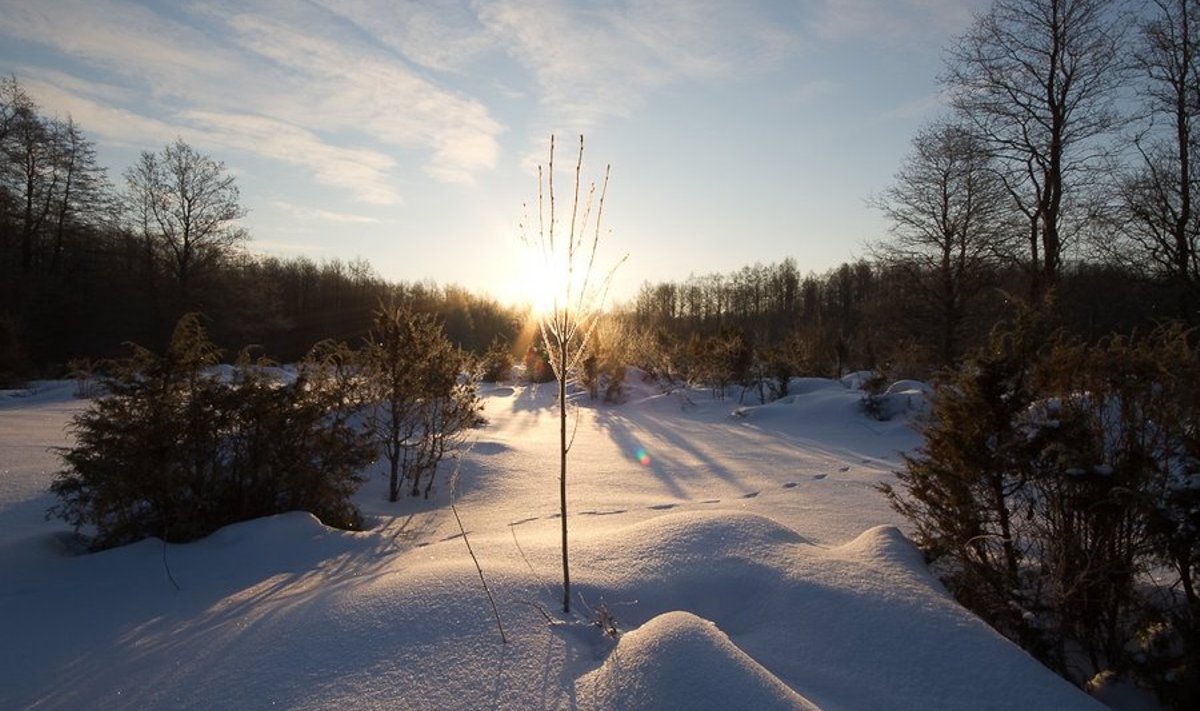 Ere Päike mullu talvel Vormsi saare peale paistmas.