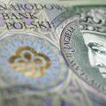 Tänavune Euroopas suurima tõusu teinud valuuta võib veelgi kallineda