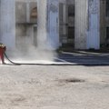 FOTOD | Järjekordne provokatsioon! Teksti „LAPSED“ sodis sama mees, kes tegi tankiplatsile vaenuliku grafiti