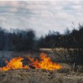 Трава горит: в апреле спасатели уже тушили 156 пожаров на открытой местности