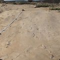 Kreetal leitud jalajäljed keeravad inimkonna põlvnemisloo täielikult pea peale