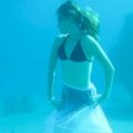 VIDEO: Rahvusvaheline allveefotograafia võistlusel tuleb fotograafil olla ka andekas sukelduja