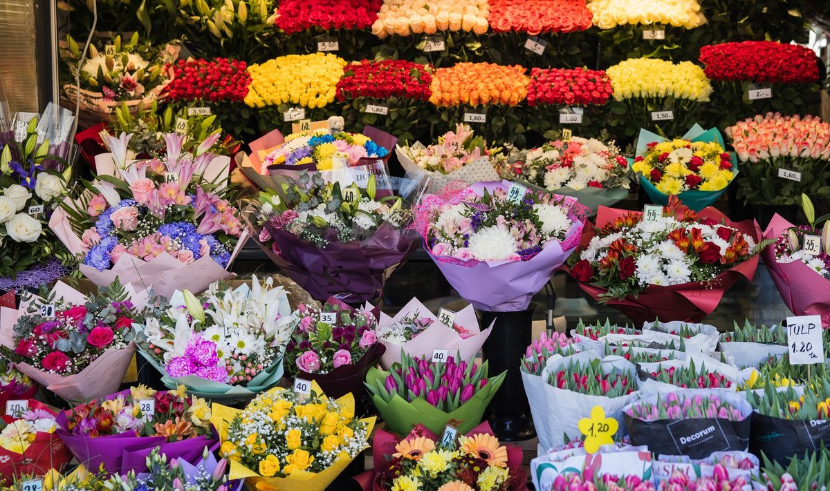 Lillemüüjad Viru tänaval