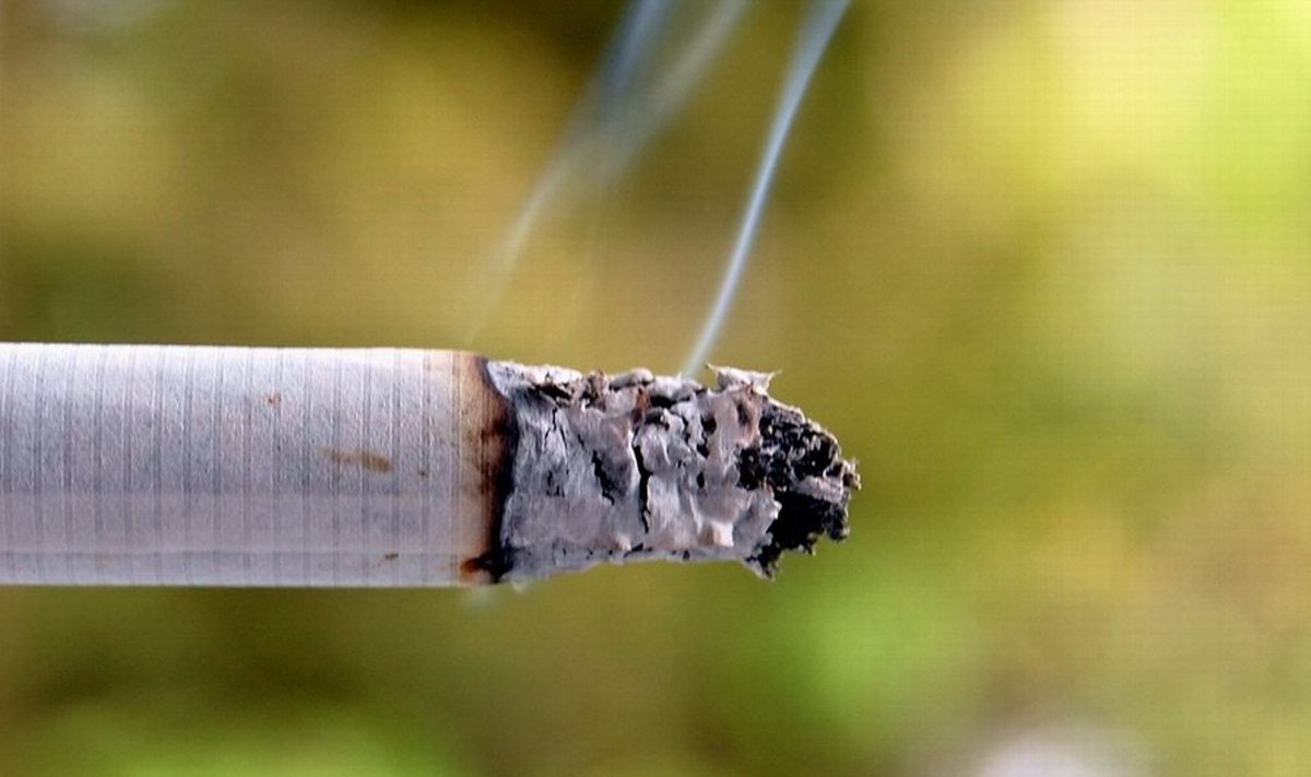 Suitsetamine kahjustab tervist. 