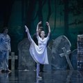Руководитель Эстонского национального балета: новая версия "Жизель" затронет струны вашей души