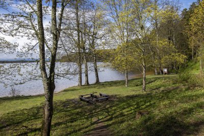 Looduskaitsjad kardavad, et Uljaste järv võib Kiviõli keemiatööstuse puuraukude ja kaevanduse rajamise järel kuivaks jääda.