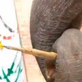 Reisiuudised: Maalikunstnikust elevant teenib loomaaiale raha