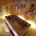 Radaripilt näitab peidetud ruume Tutanhamoni hauakambris