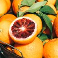 Valmistu lihavõteteks: salat punase apelsini, peedi ja Parma singiga