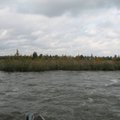 Piirivalve avastas Narva veehoidlal ujuvsaare