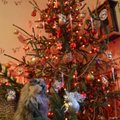 Fotovõistlus “Pühad minu kodus”: Roosaka varjundiga kaunis jõulupuu ja kass