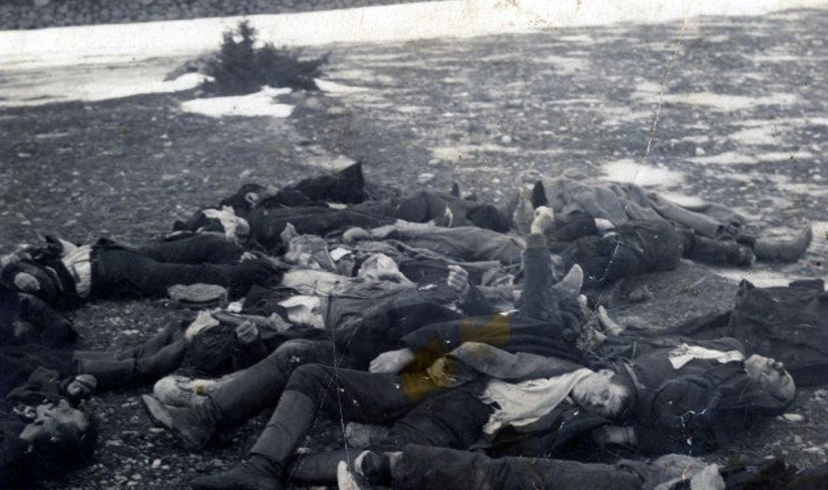 Karistussalklaste hukatud mässulised  Saaremaal Upa külas 1919. aasta veebruaris. Välikohtud hukkasid Saare- ja Muhumaal 68 inimest, 14 tapsid karistussalklased kohtuotsuseta  ning    81 suri vastuhaku käigus. Foto: Saaremaa muuseum