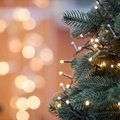 Ekspert selgitab: kui palju maksab jõulupuu elekter?
