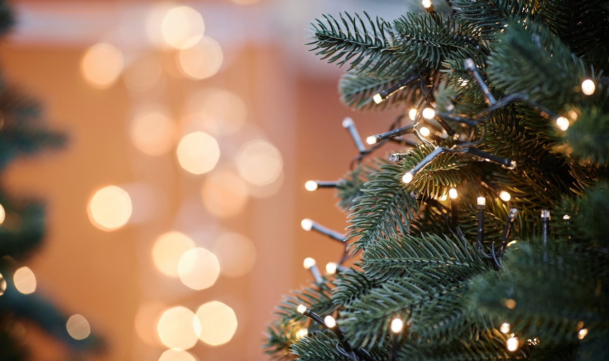 Ekspert selgitab, kui palju elektrit võtavad jõulutulukesed.