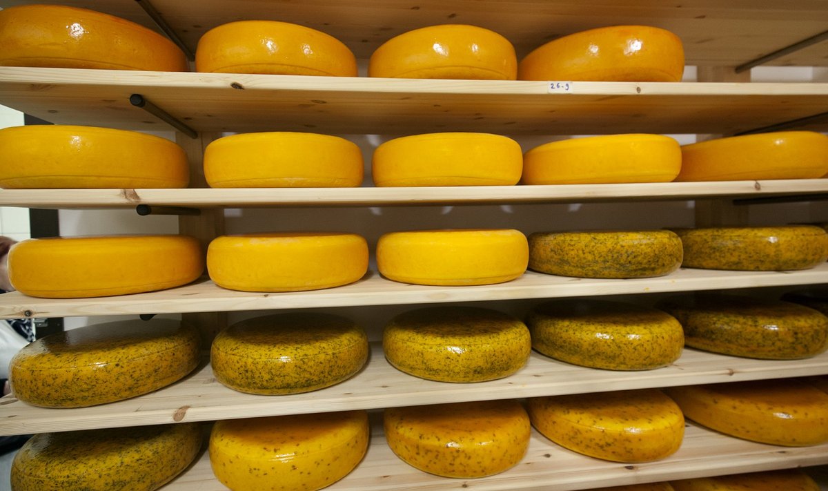 Pildil on Eestis toodetud juust, mida Venemaale sise tuua ei tohi