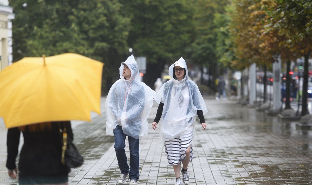 Синоптик объяснил, правда ли в Эстонии этим летом аномальная погода - Delfi  RUS
