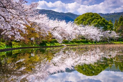 Kyoto