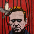 G7 требует немедленного освобождения Навального