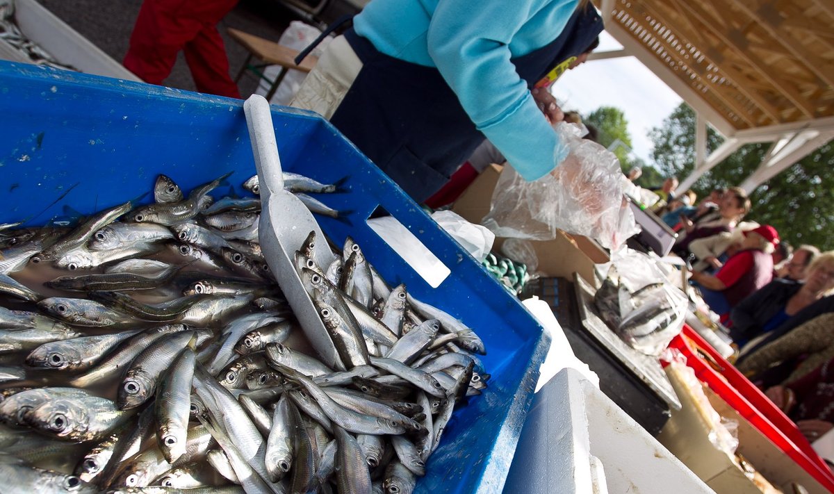 Räimed Tallinna kalaturul