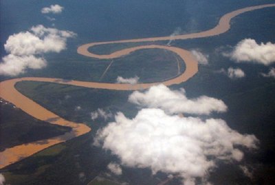 Из-за активных лесозаготовок вода в реках Борнео коричневого цвета. Фото: Игорь Ротарь