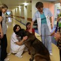 Терапевтическая собака Элли станет постоянным гостем в Тартуской детской больнице