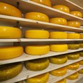 Piimatööstused stardivad juustuga Hiina turule