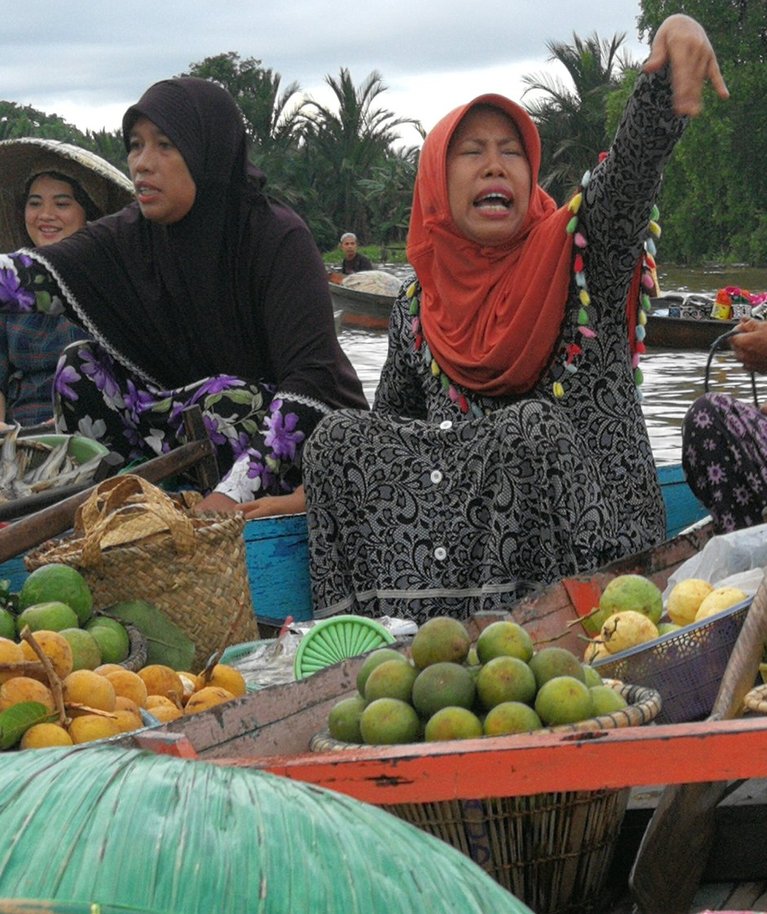 UJUVTURG: Indoneesiasse minnes on kasulik meelde jätta, et roheline jaka kannab nime nangka, mangosteen on manggis, tähtvili belimbing, vana hea banaan aga pisang.