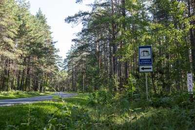 ДОБРО ПОЖАЛОВАТЬ! Выстрел был произведен в месте для установки палаток Уускюла, обустроенном между шоссе Каукси-Васкнарва и Чудским озером. Здесь можно поставить до 50 четырехместных палаток.