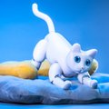 ФОТО и ВИДЕО | В сети стартовала кампания по сбору средств на производство домашнего робота-кота