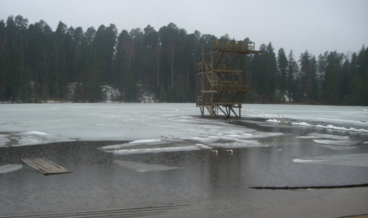 Vanamõisa järv, Tõrva