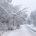 Valga vald maadleb lumega murdunud puude ja elektririketega