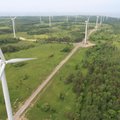 Eesti kõige rikkam inimene kaotas tuulikutega miljoneid eurosid