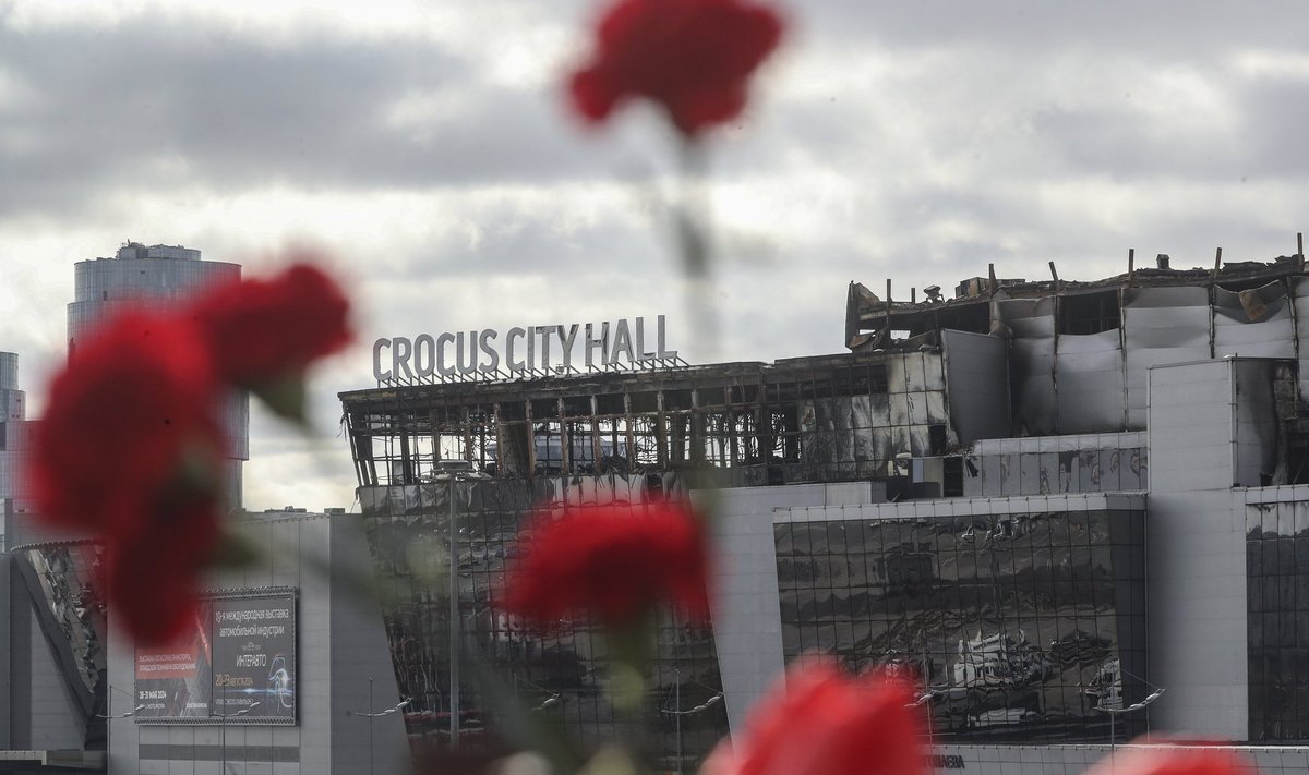 Красные гвоздики на фоне разрушенного здания "Крокус Сити Холл", где 22 марта 2024 года состоялся теракт.