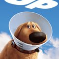 90. Kinoveebi Jututuba | Mäletad seda koera filmist "Üles"? Disney teeb temast seriaali!