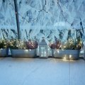 Fotovõistlus “Pühad minu kodus”: Eesti pere jõuluaegne kodu Helsingis