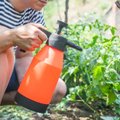 Keemilised taimekaitsevahendid koduaias: võimalusel vältida, kuid kasutamisel käituda teadlikult