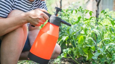 Keemilised taimekaitsevahendid koduaias: võimalusel vältida, kuid kasutamisel käituda teadlikult